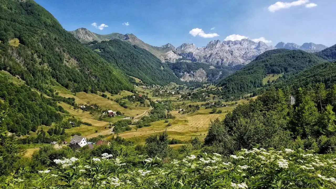 The Best Places To Find Online Albanian Tutors